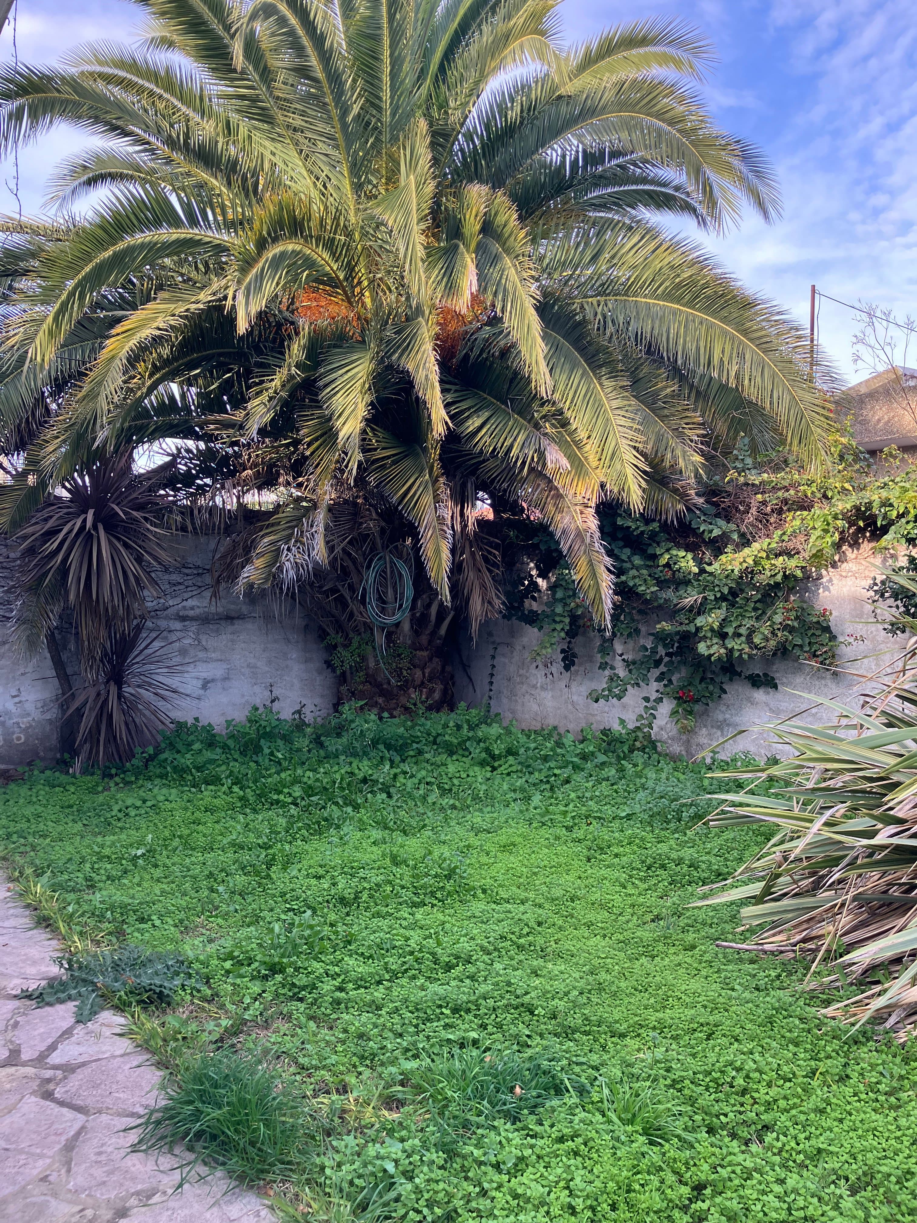 Chalet B. Mariano Moreno - 11