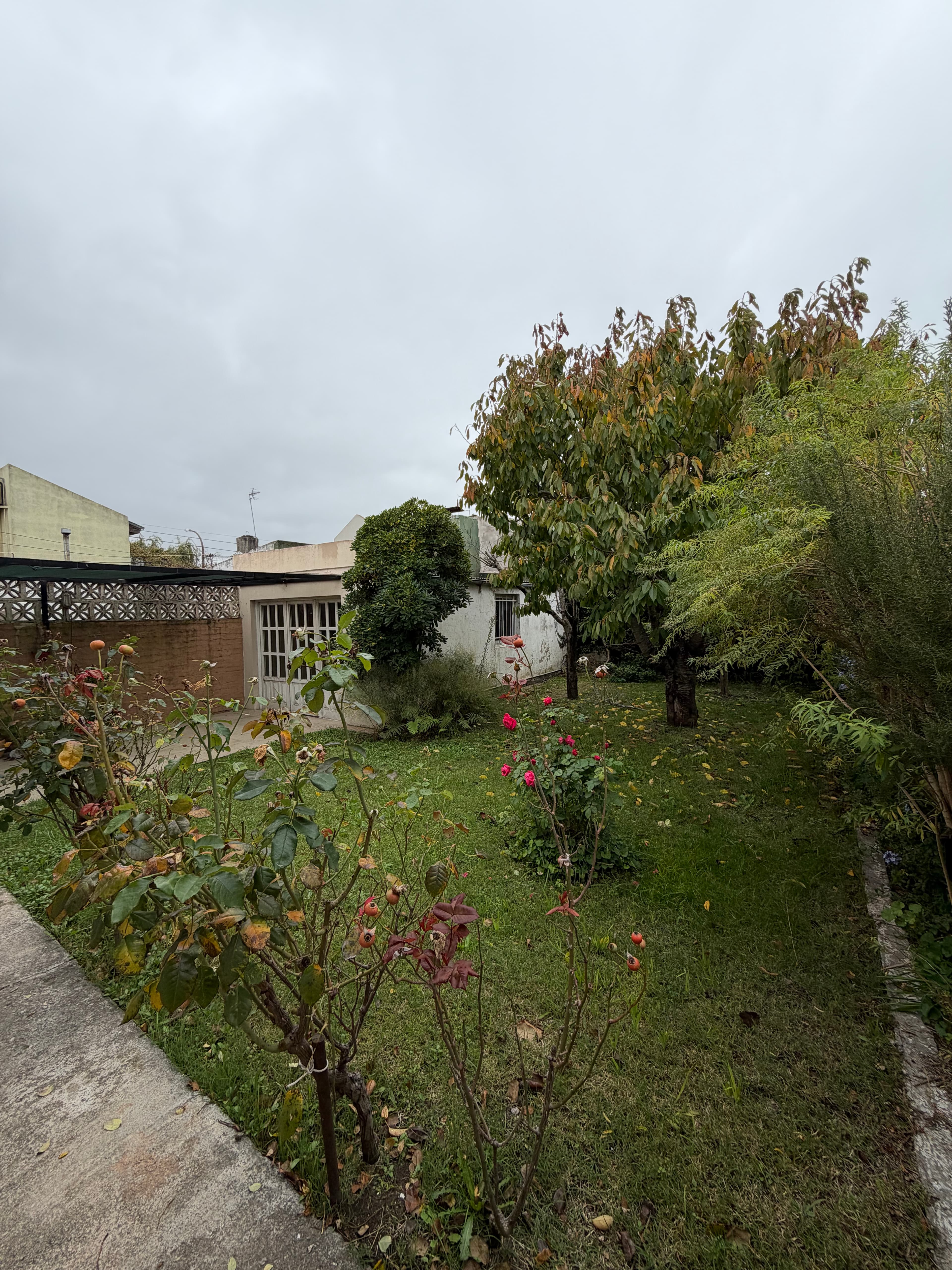 Casa dos dormitorios B. M. Moreno - 12