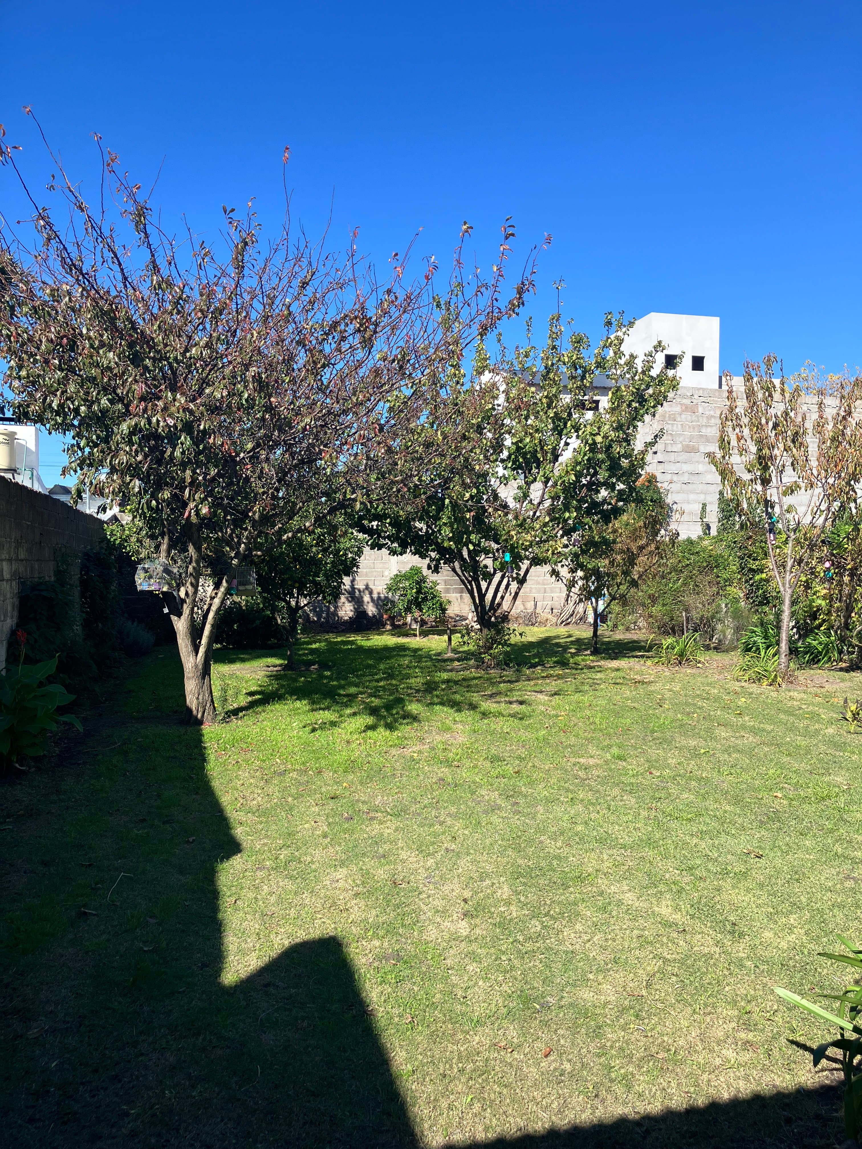 Excelente casa 3 Dormitorios - 12