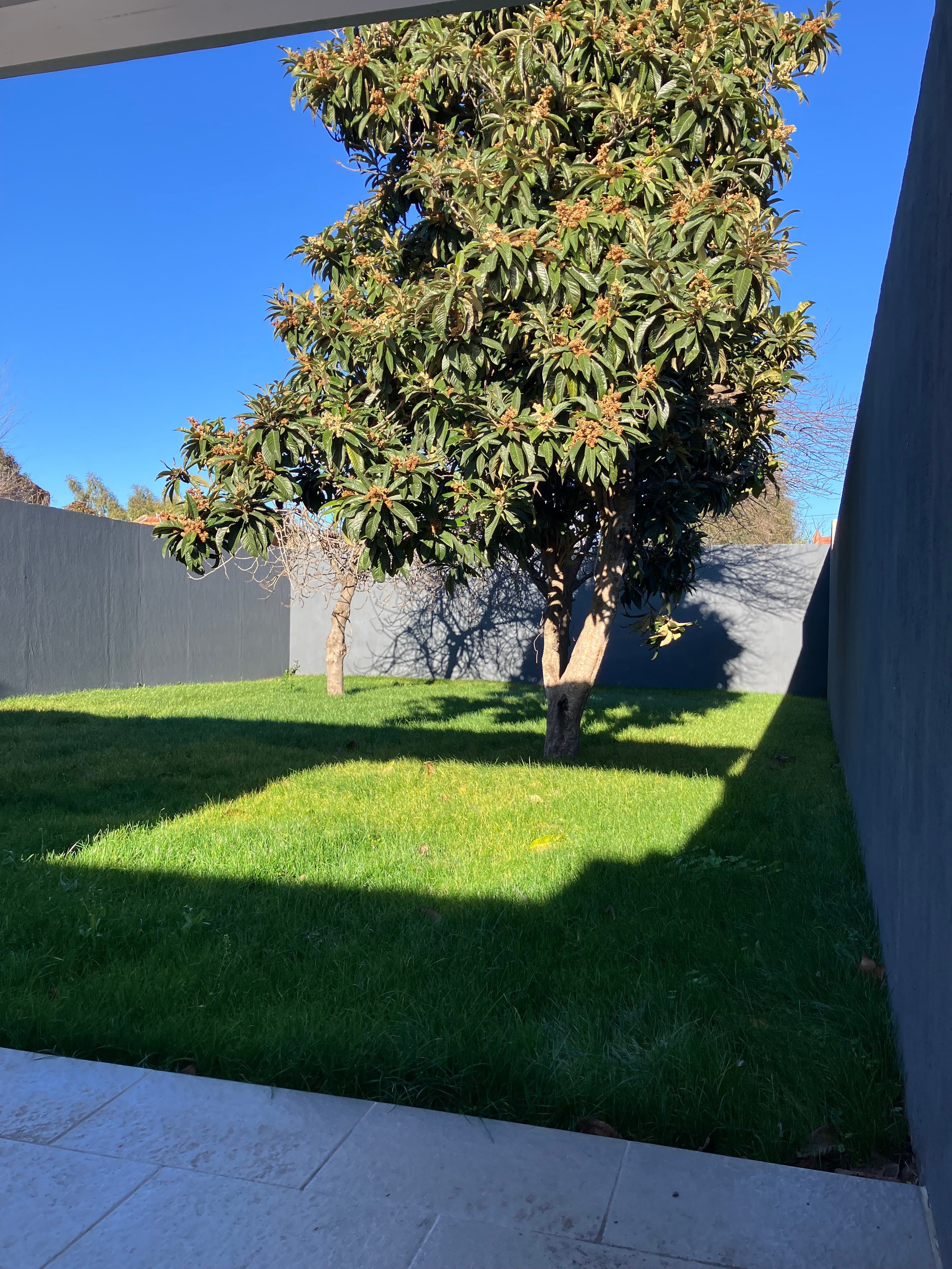 Casa a estrenar 2 Dormitorios - 10