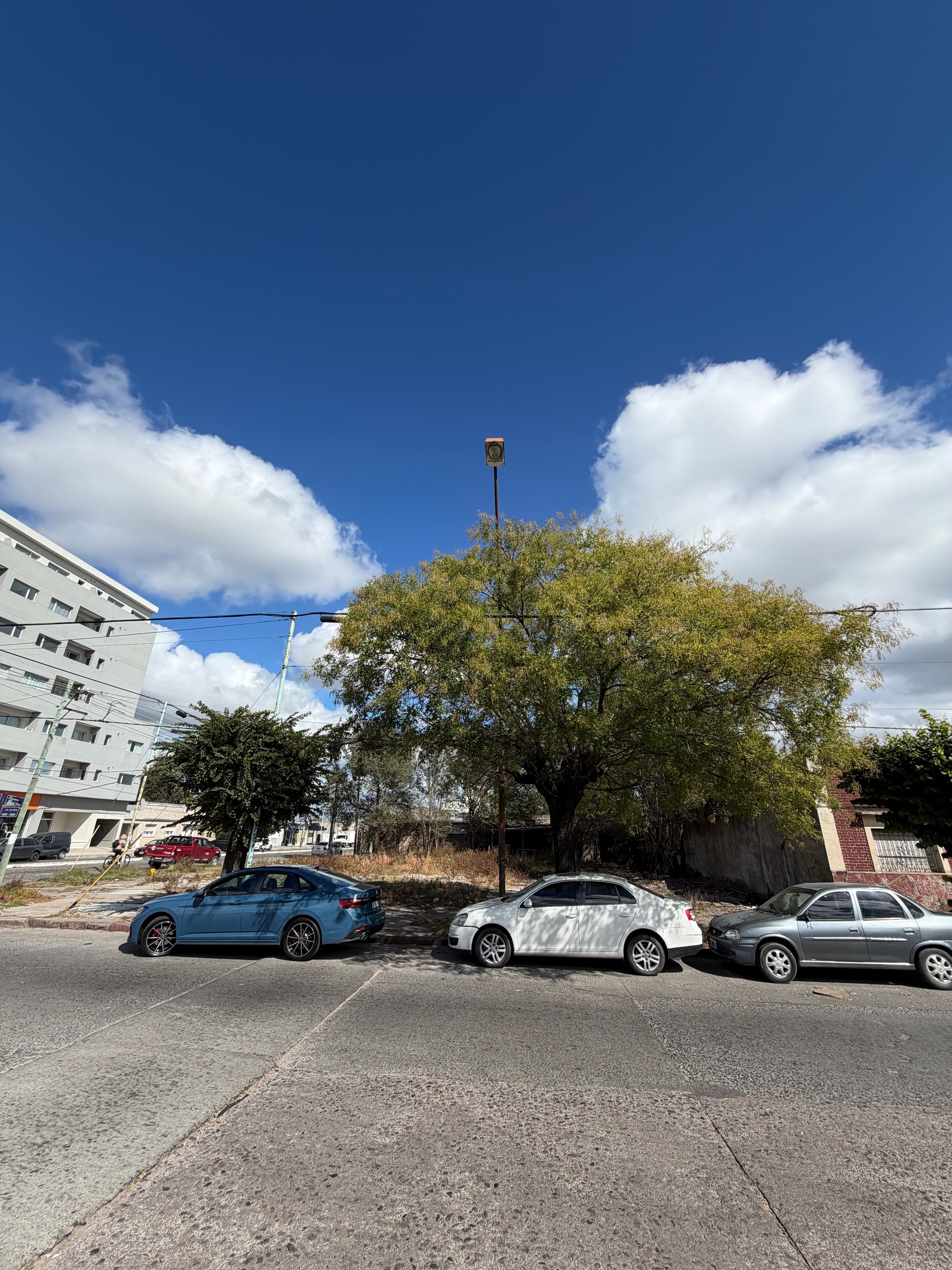 Excelentes lotes sobre Av. Del Valle  - 2