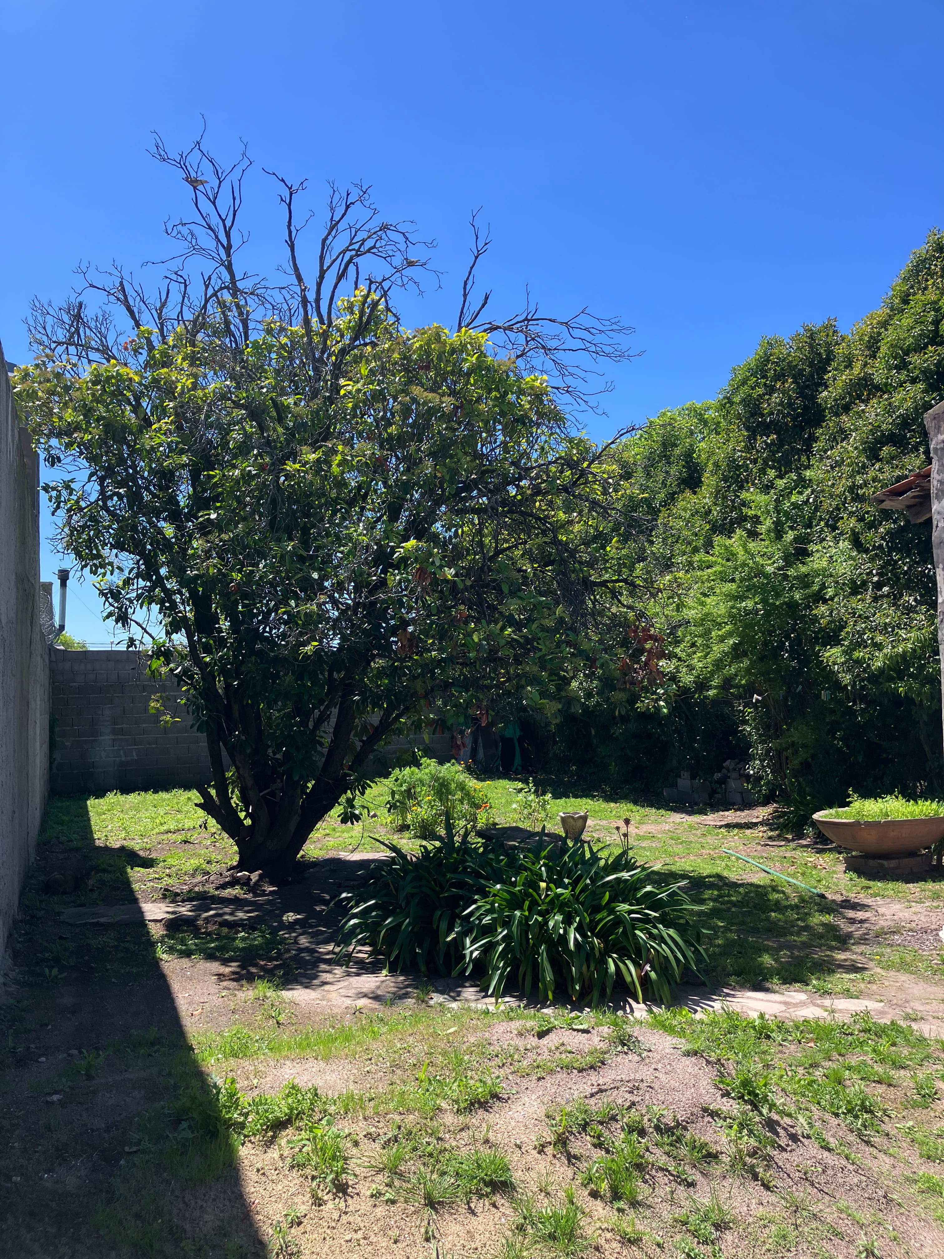 Casa Dos Dormitorios - 9